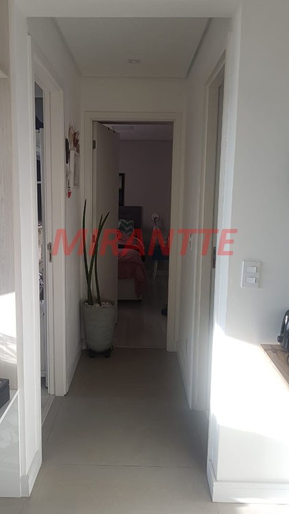 Apartamento de 52m² com 2 quartos em Jaçana