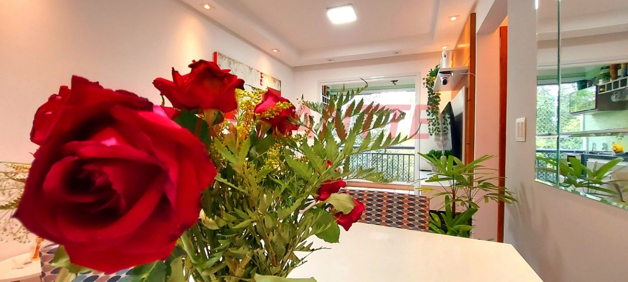 Apartamento de 62m² com 2 quartos em Vila Santos