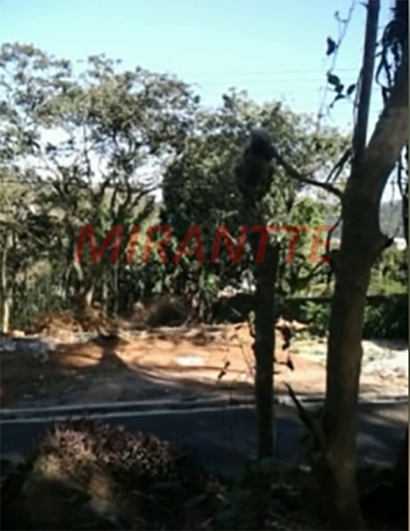 Terreno de 1200m² em Jardim Flor Bragança