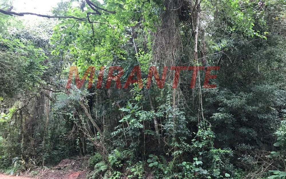 Terreno de 1.332m² em Serra da Cantareira