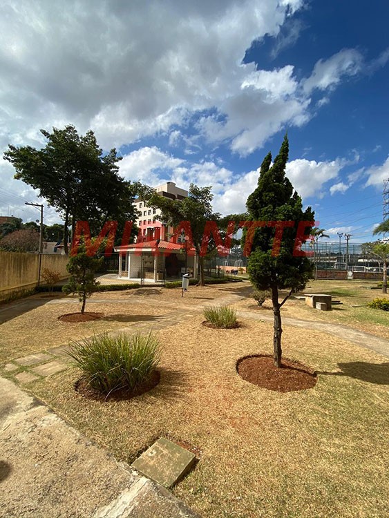 Apartamento de 66m² com 2 quartos em Vila Alpina