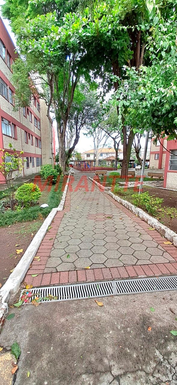 Apartamento de 64m² com 3 quartos em Vila Constança