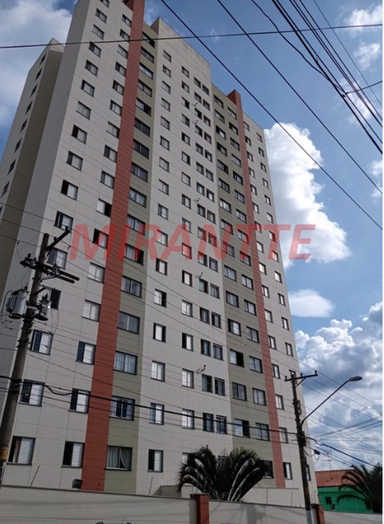 Apartamento de 59m² com 2 quartos em Vila Basileia