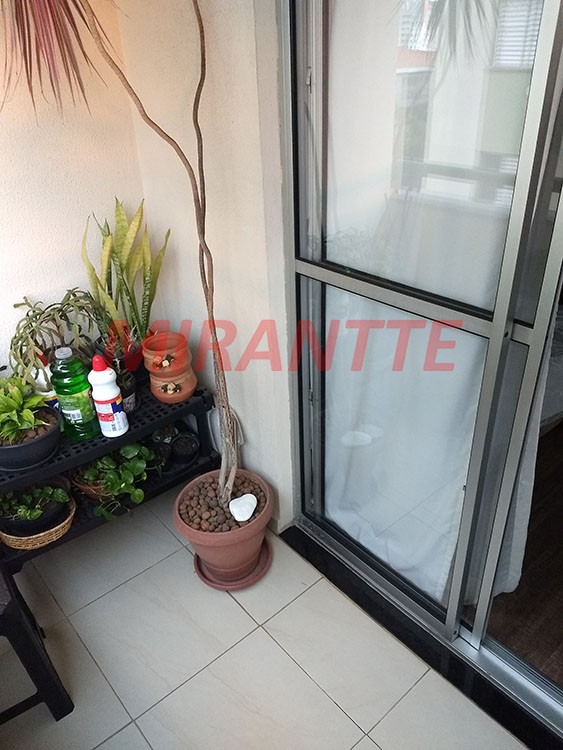 Apartamento de 59m² com 2 quartos em Imirim