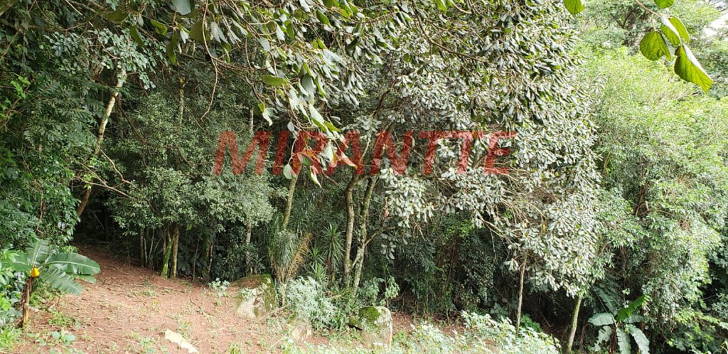 Terreno de 903m² em Parque Itaguaçu