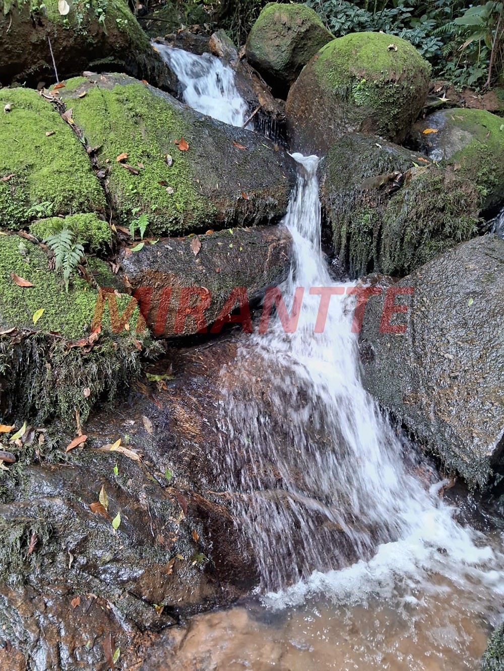 Sobrado de 237m² com 3 quartos em Serra da Cantareira