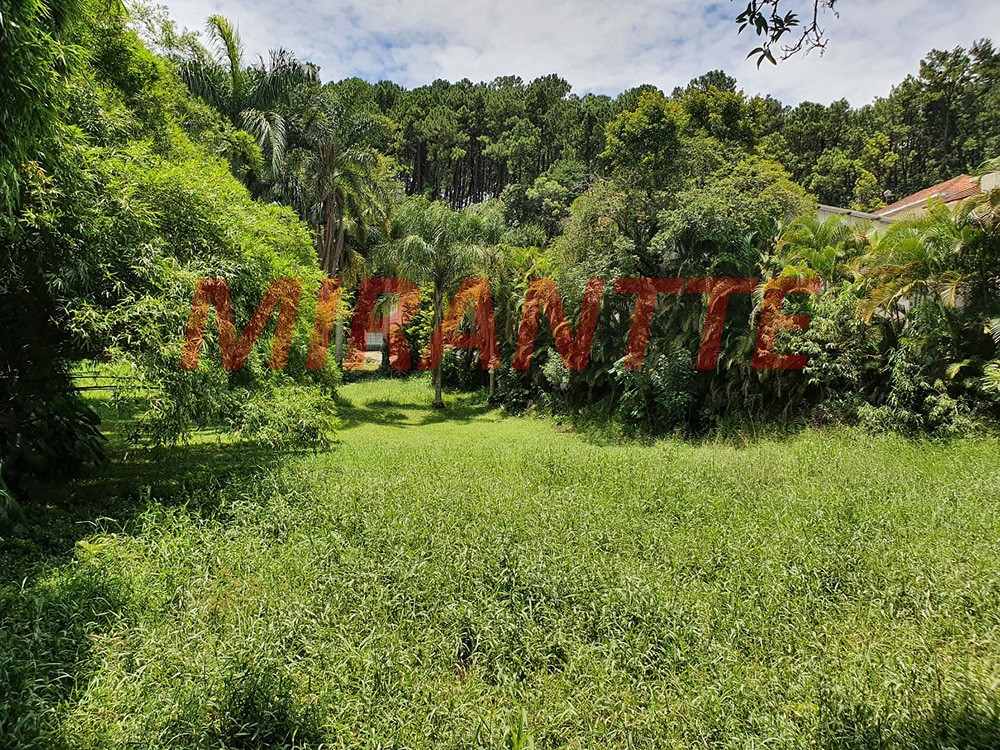 Terreno de 2522m² em Vila Amelia