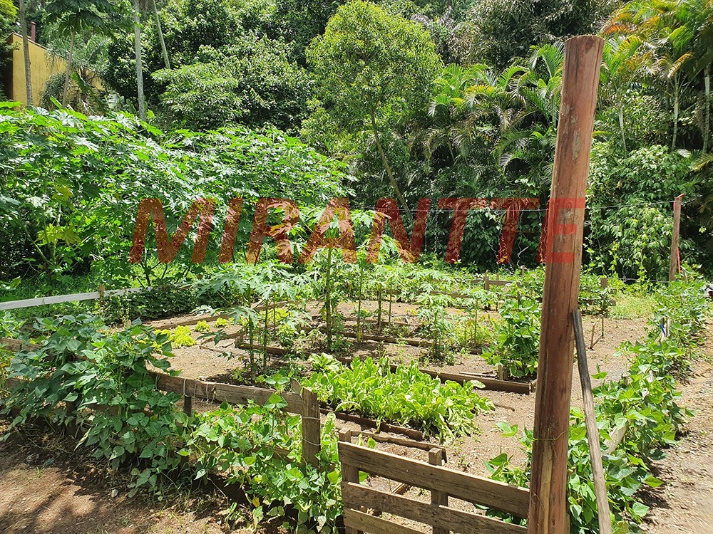 Terreno de 2522m² em Vila Amelia