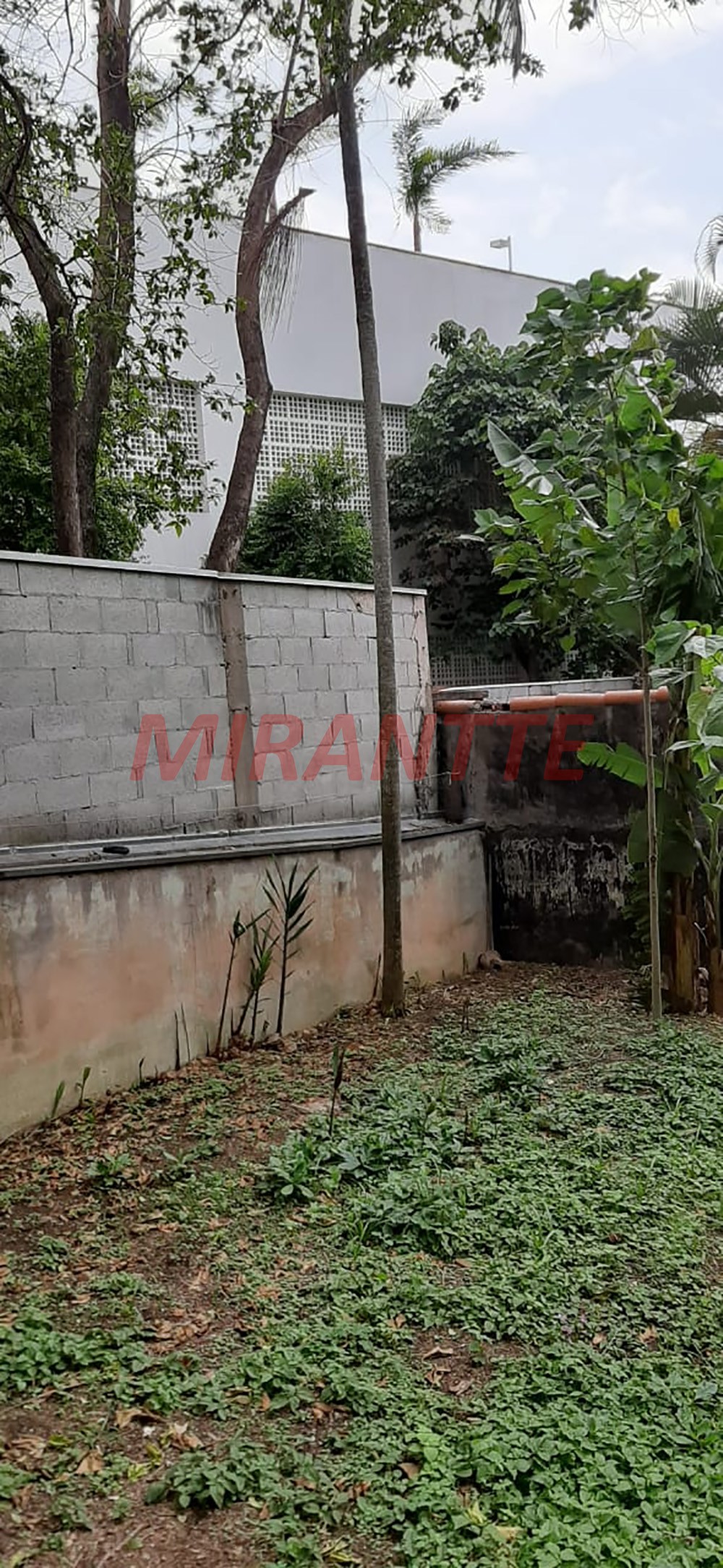 Terreno de 372m² em Vila Ester