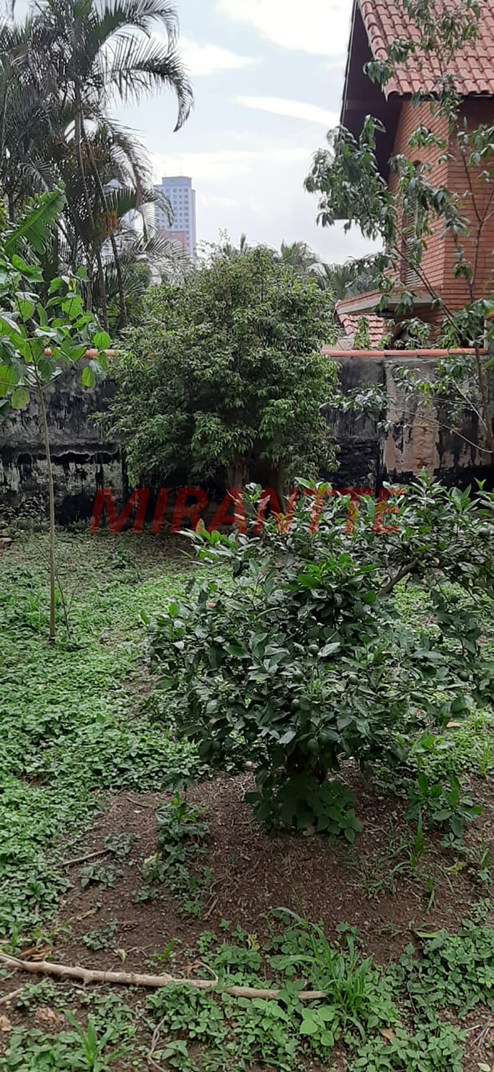 Terreno de 372m² em Vila Ester