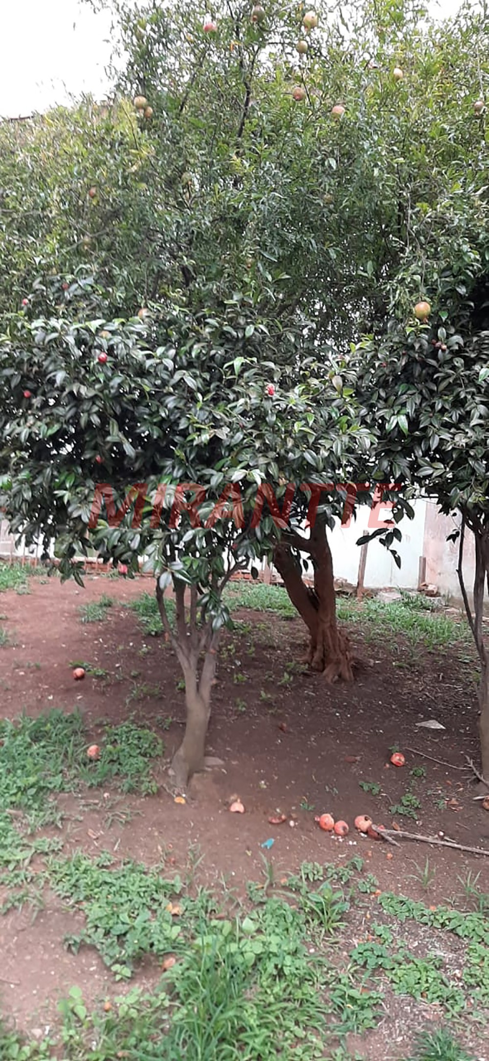 Terreno de 372m² em Vila Ester