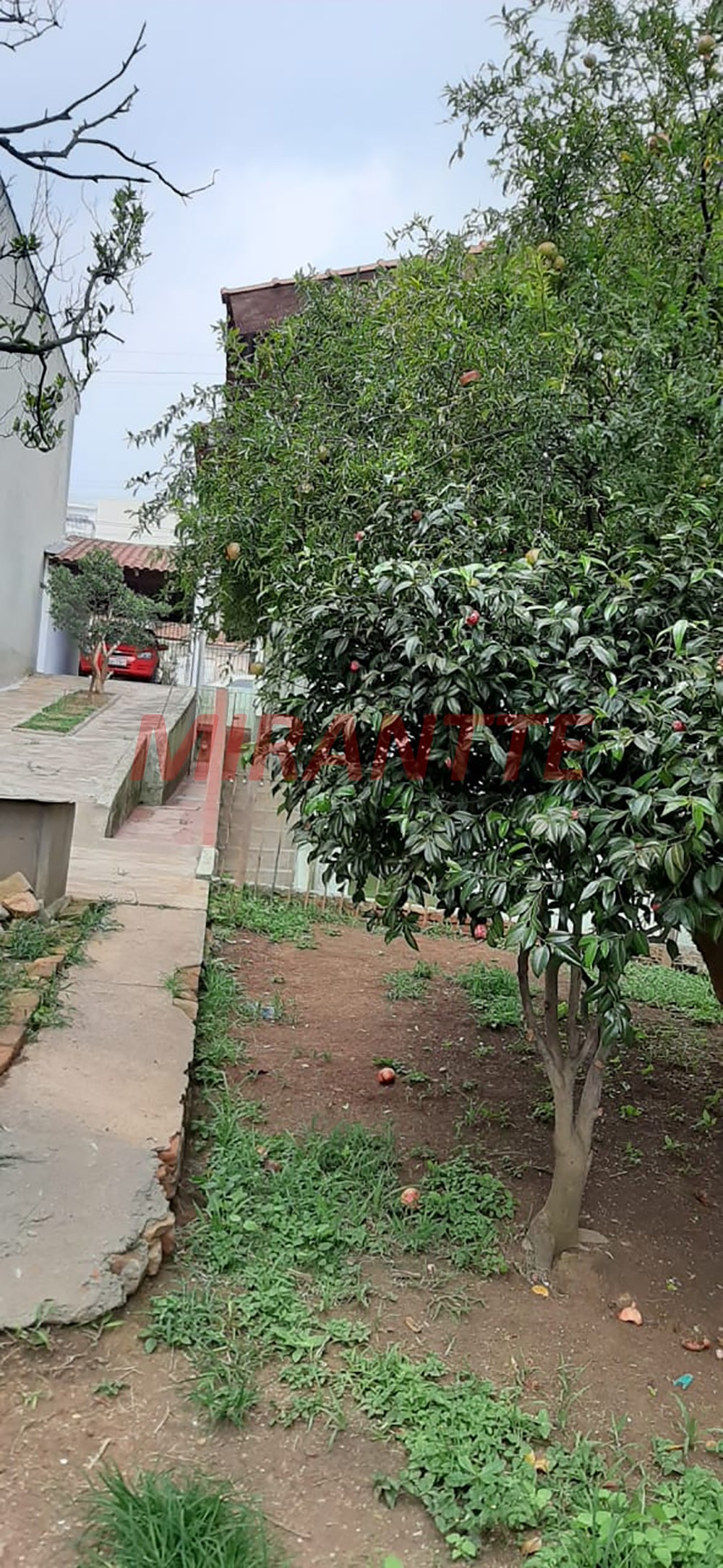 Terreno de 372m² em Vila Ester