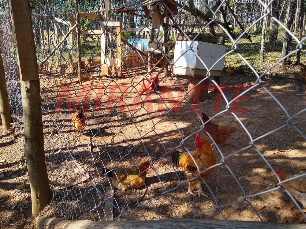 ChÁcara com 2 quartos em Jardim Europa