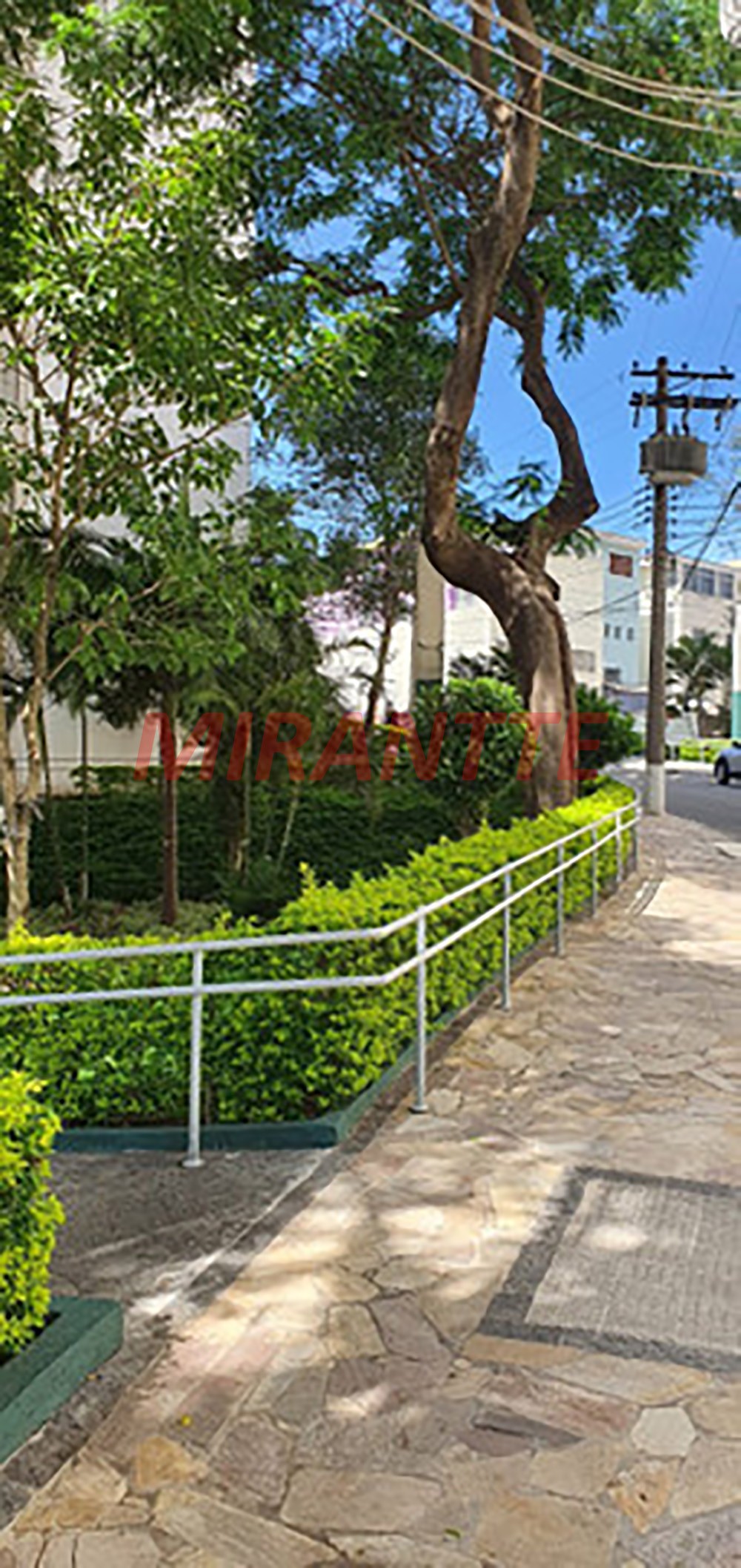 Apartamento de 68m² com 3 quartos em Horto Florestal