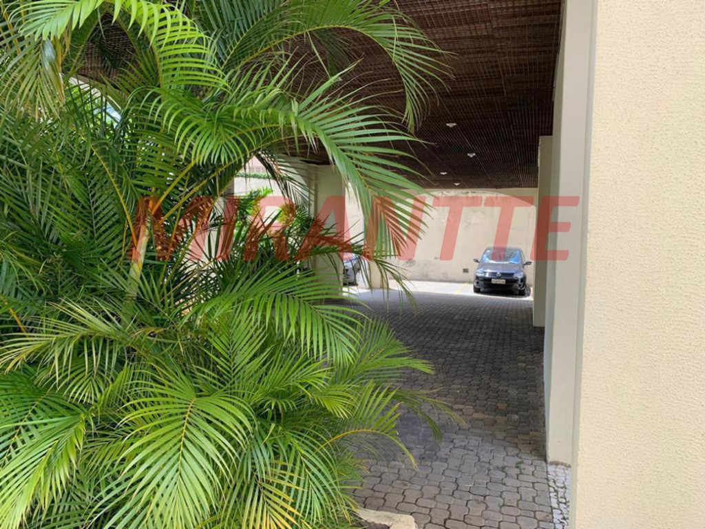 Apartamento de 58m² com 2 quartos em Lauzane Paulista