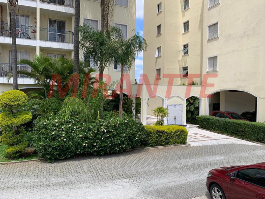 Apartamento de 58m² com 2 quartos em Lauzane Paulista