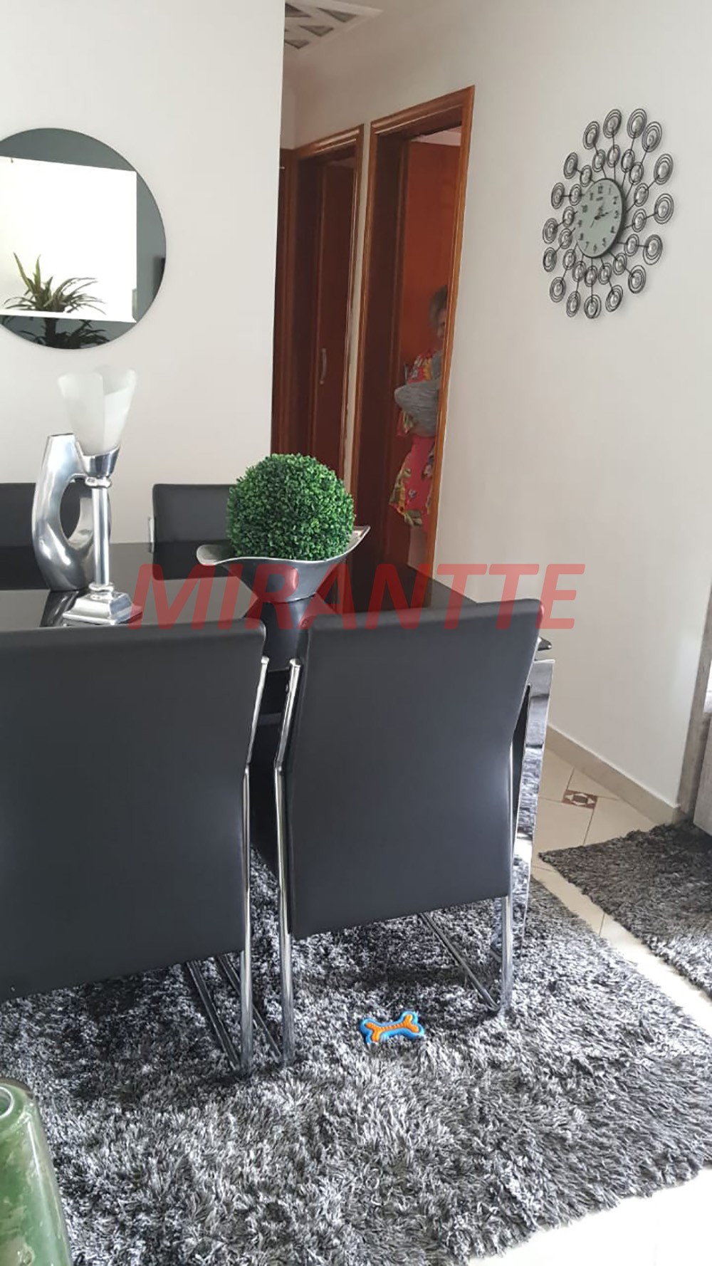 Apartamento de 50m² com 2 quartos em Vila Amelia