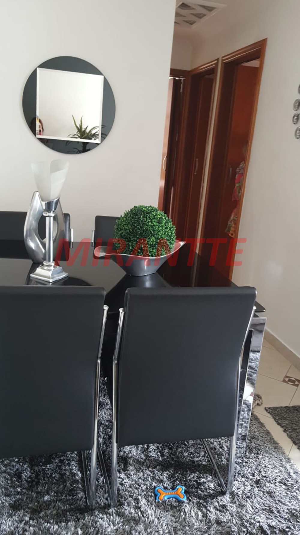 Apartamento de 50m² com 2 quartos em Vila Amelia