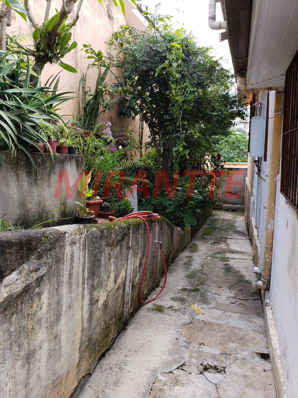Casa terrea de 175m² com 3 quartos em Tucuruvi