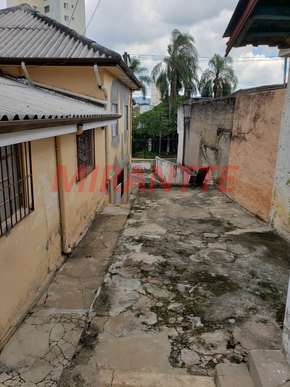 Casa terrea de 175m² com 3 quartos em Tucuruvi