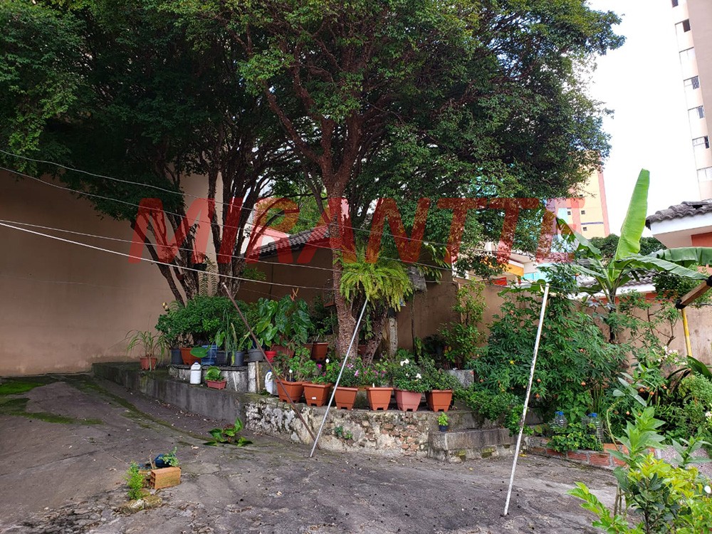 Casa terrea de 175m² com 3 quartos em Tucuruvi