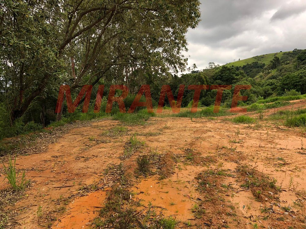 Terreno de 18000m² em CENTRO