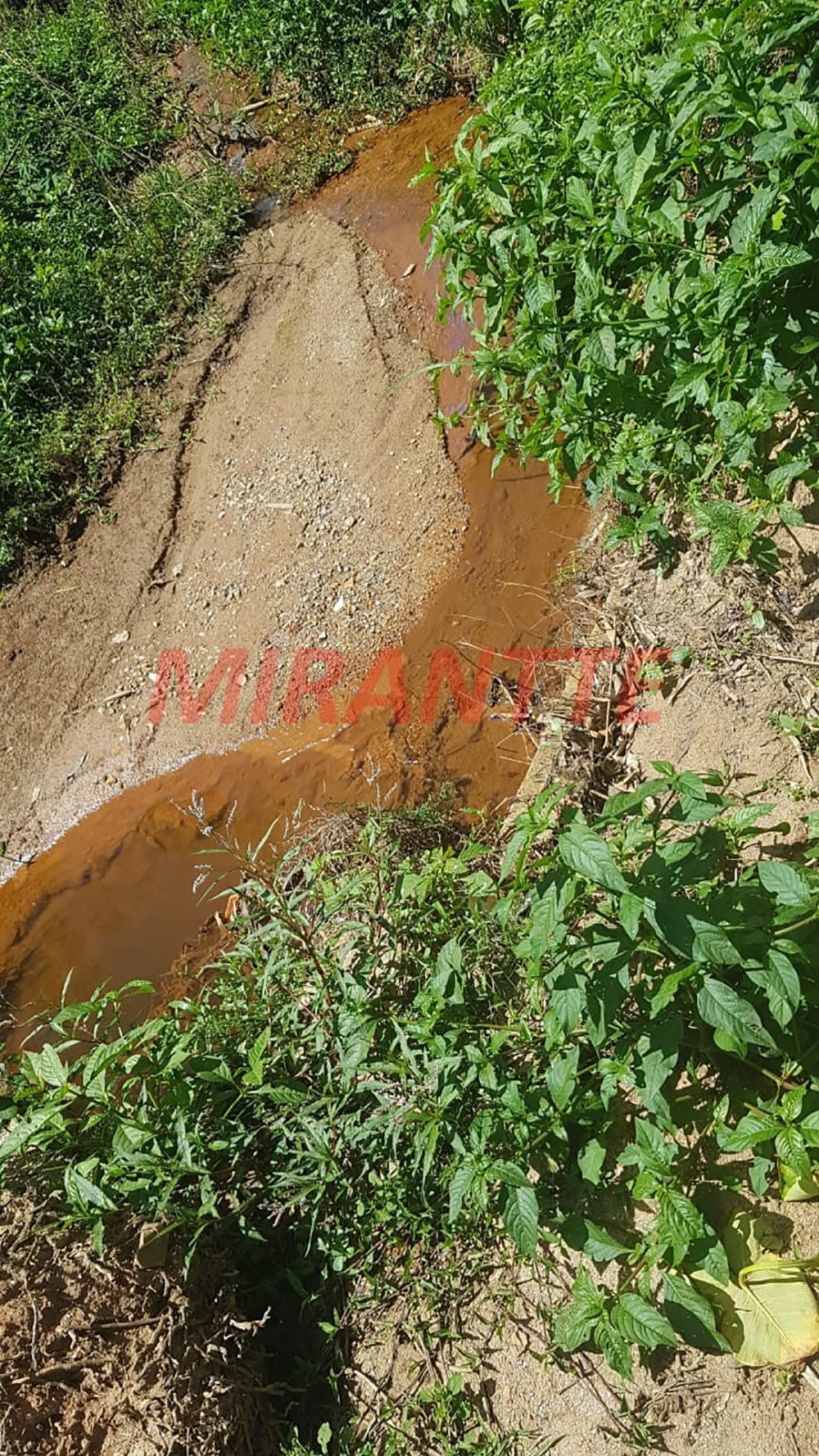 ChÁcara de 400m² com 3 quartos em Rio Acima