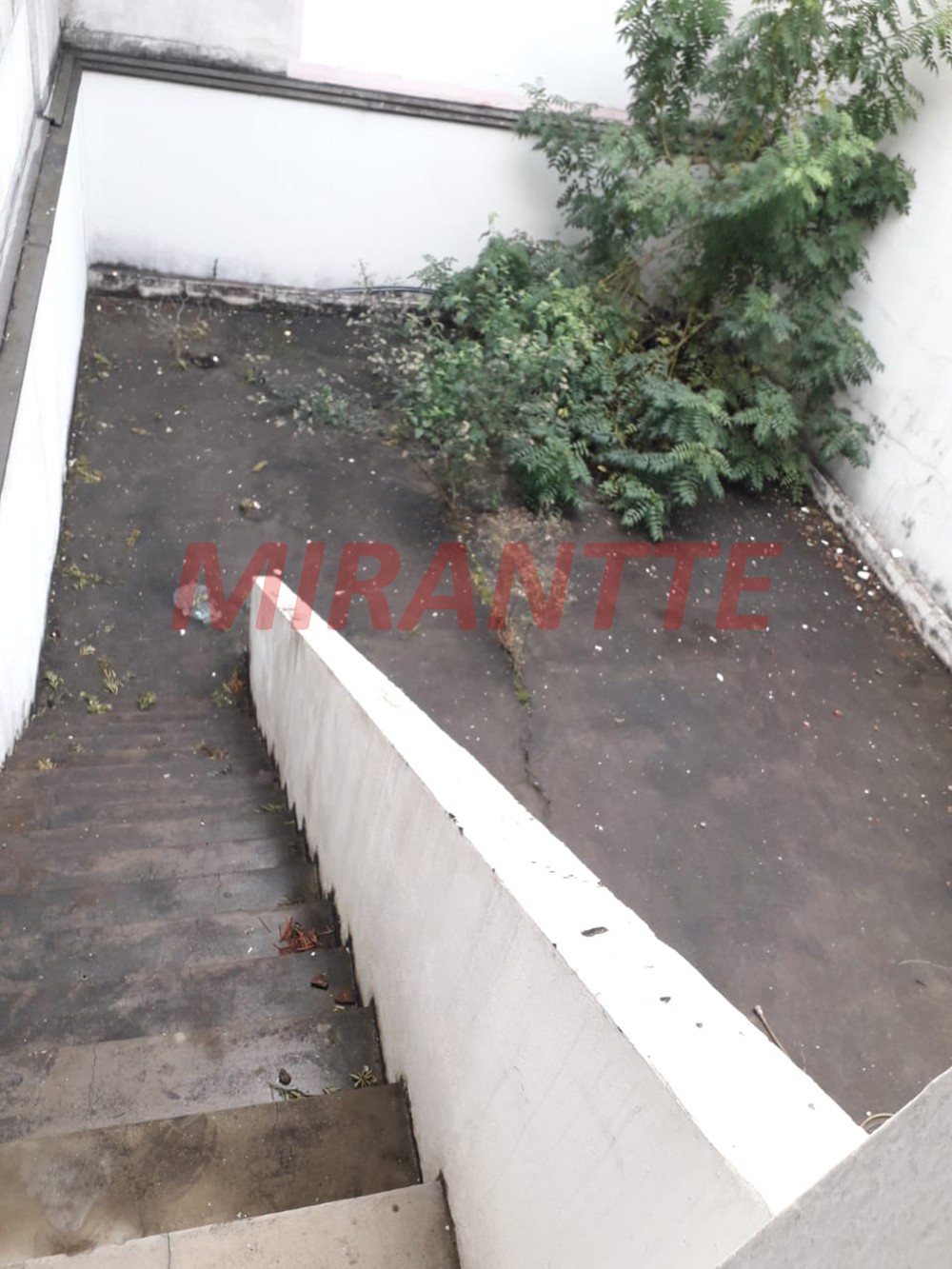 Comercial de 481m² em Santa Terezinha