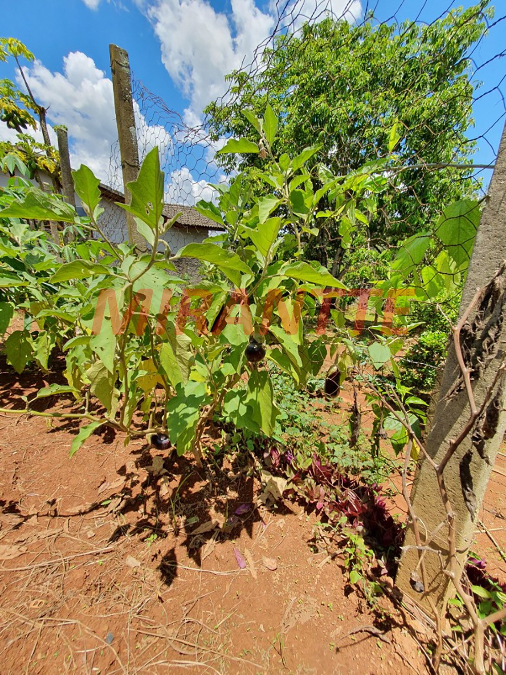 ChÁcara de 0.01m² com 2 quartos em Serra da Cantareira