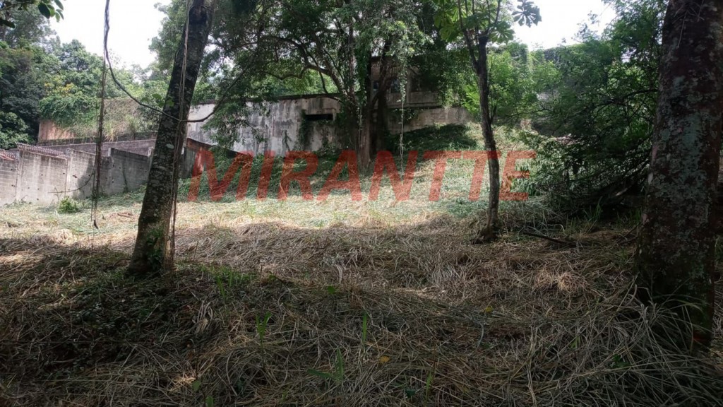 Terreno de 2866m² em Horto Florestal