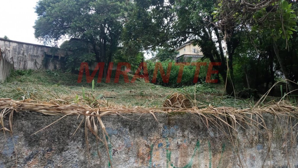 Terreno de 2866m² em Horto Florestal