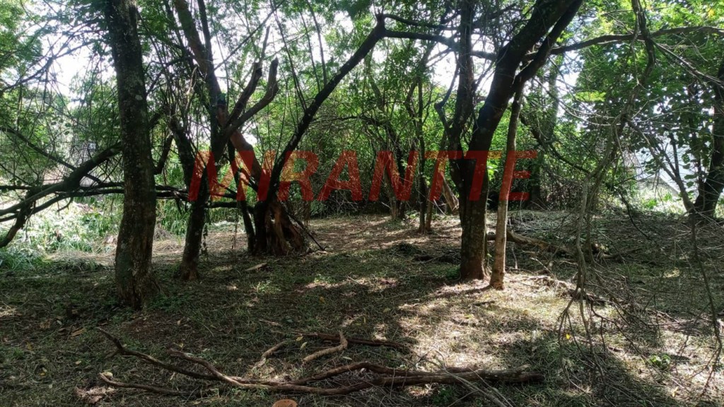 Terreno de 2866m² em Horto Florestal
