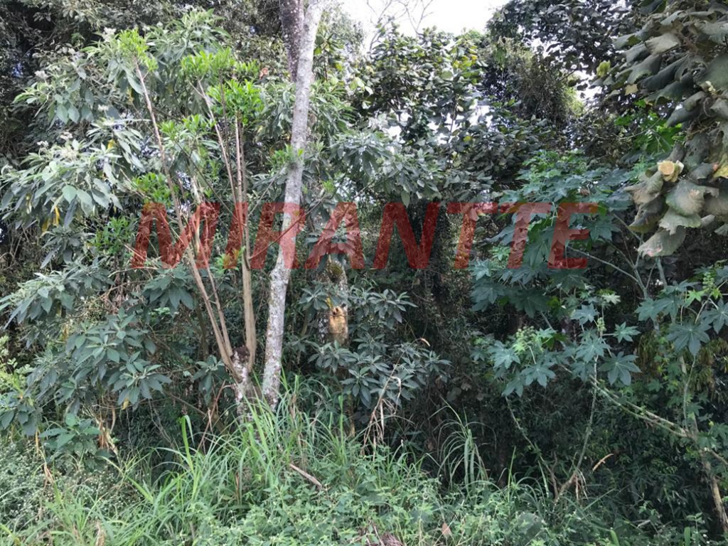 Terreno de 525m² em Jardim Samambaia – Mairiporã
