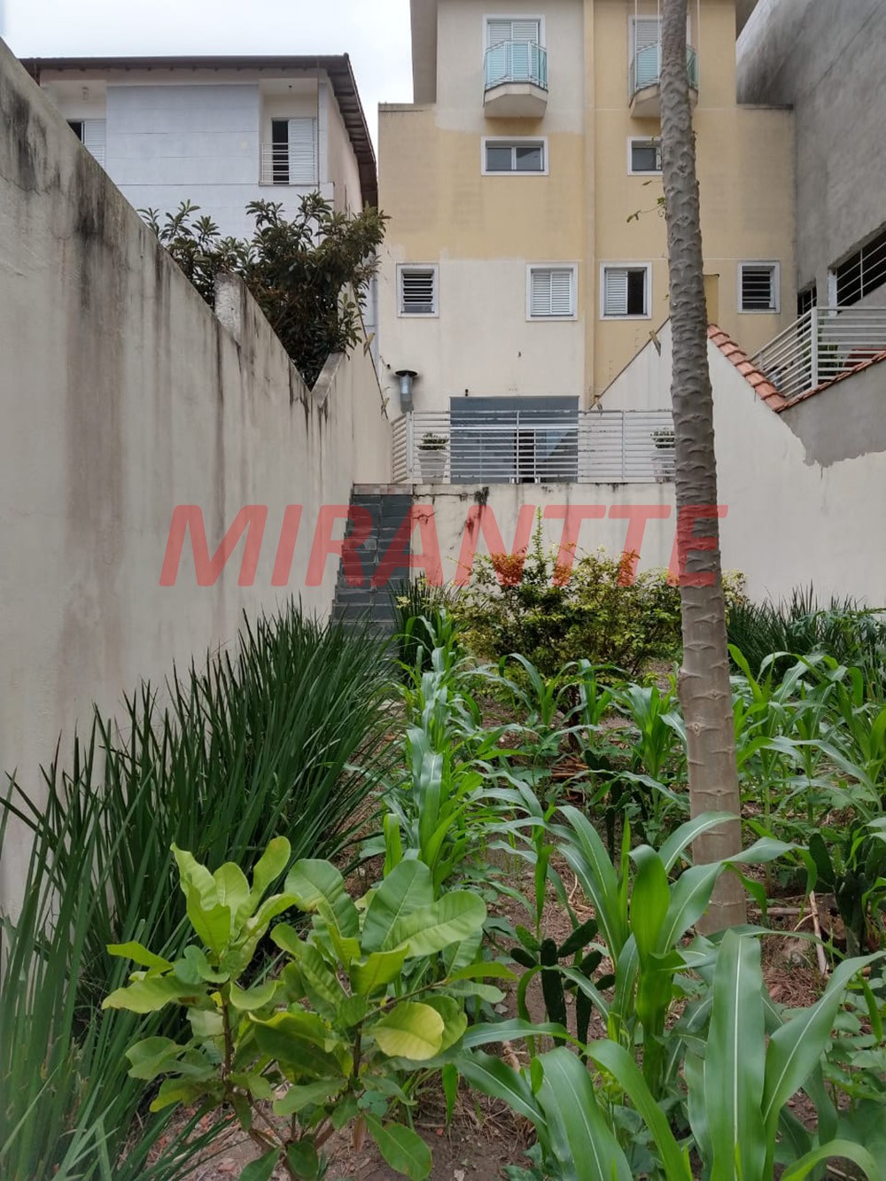 Sobrado de 274m² com 3 quartos em Vila Mazzei