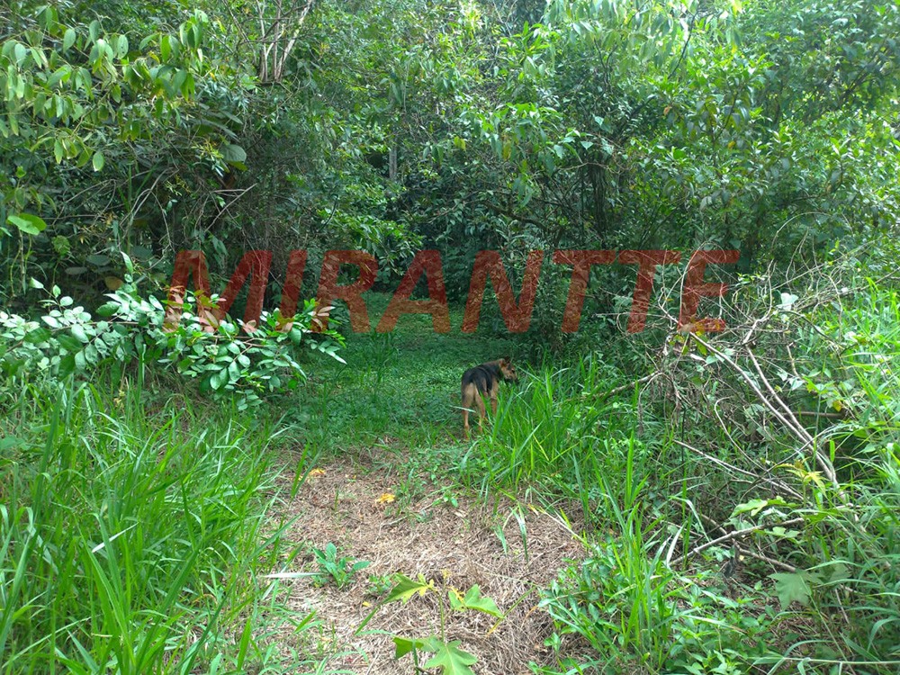 ChÁcara de 250m² com 3 quartos em Serra da Cantareira