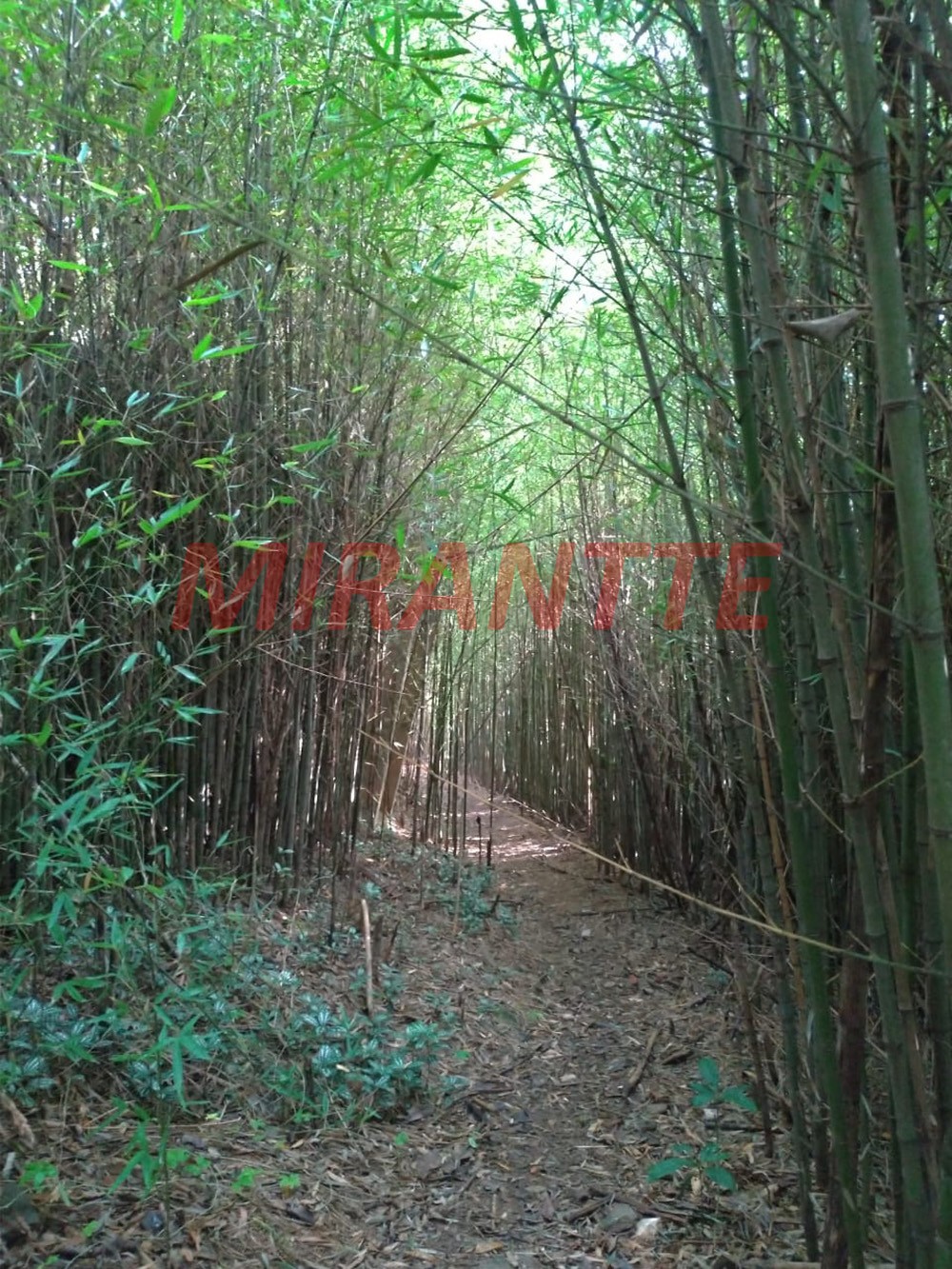 ChÁcara de 250m² com 3 quartos em Serra da Cantareira