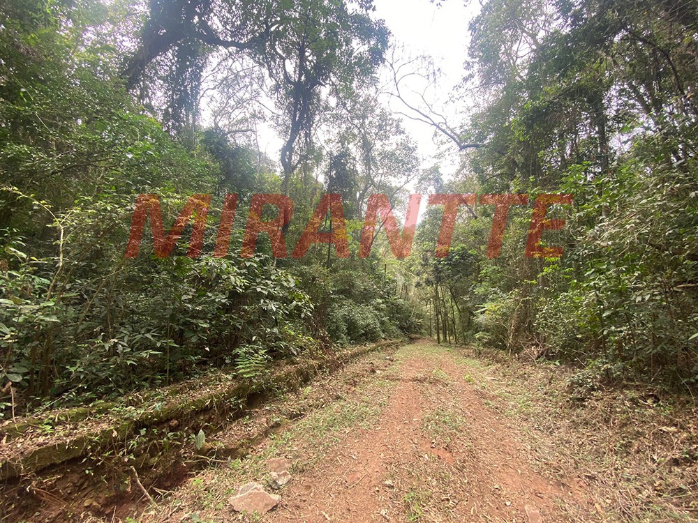 Terreno de 1000m² em Serra Da Cantareira