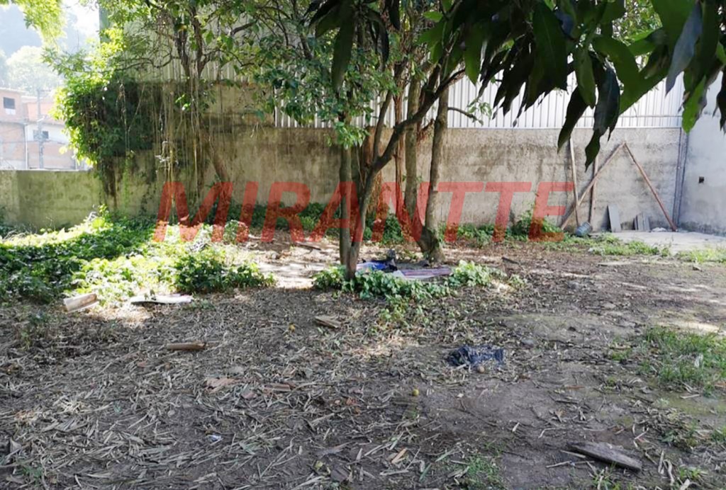 Terreno de 1500m² em Jaçana