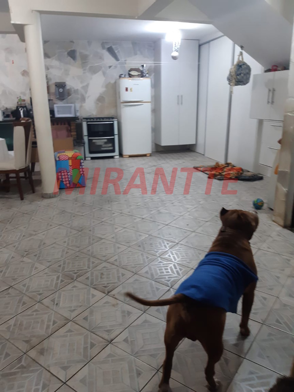 R2 Image 236388 #28