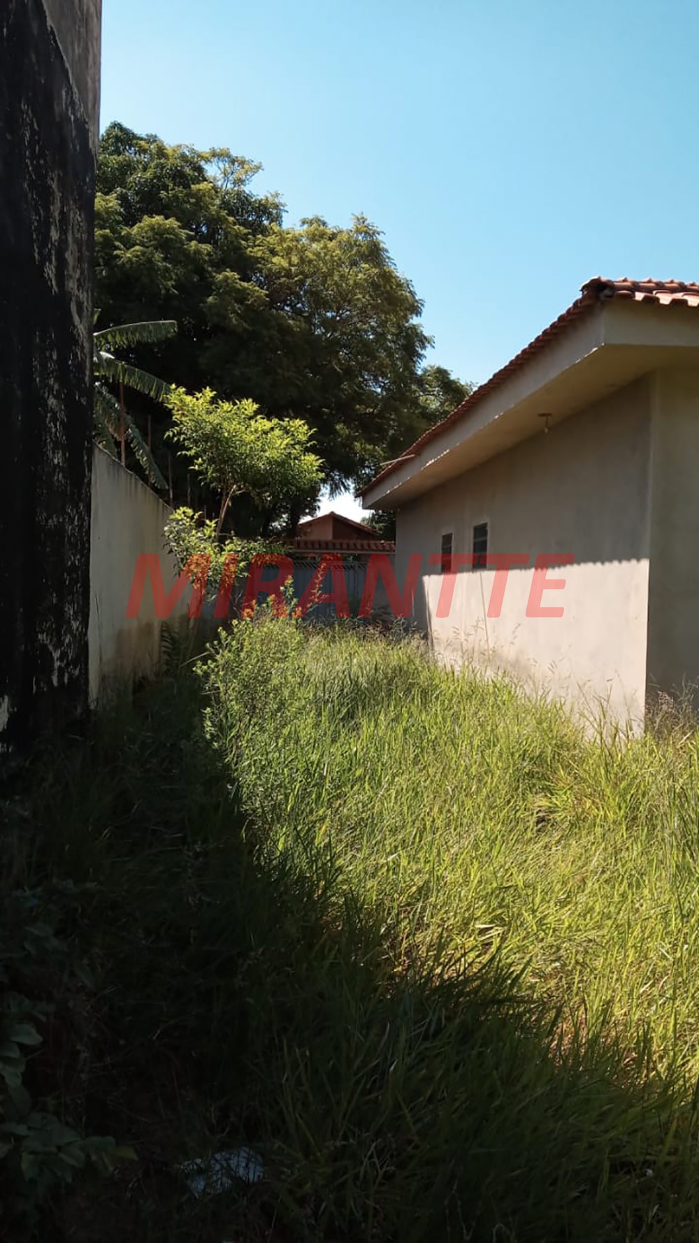 Casa terrea com 2 quartos em CAMPO DE BOITUVA