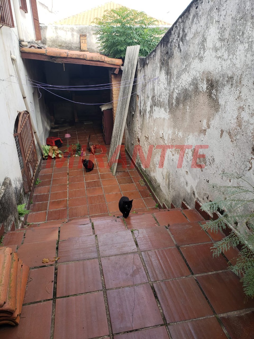 Casa terrea de 150m² com 3 quartos em Tucuruvi