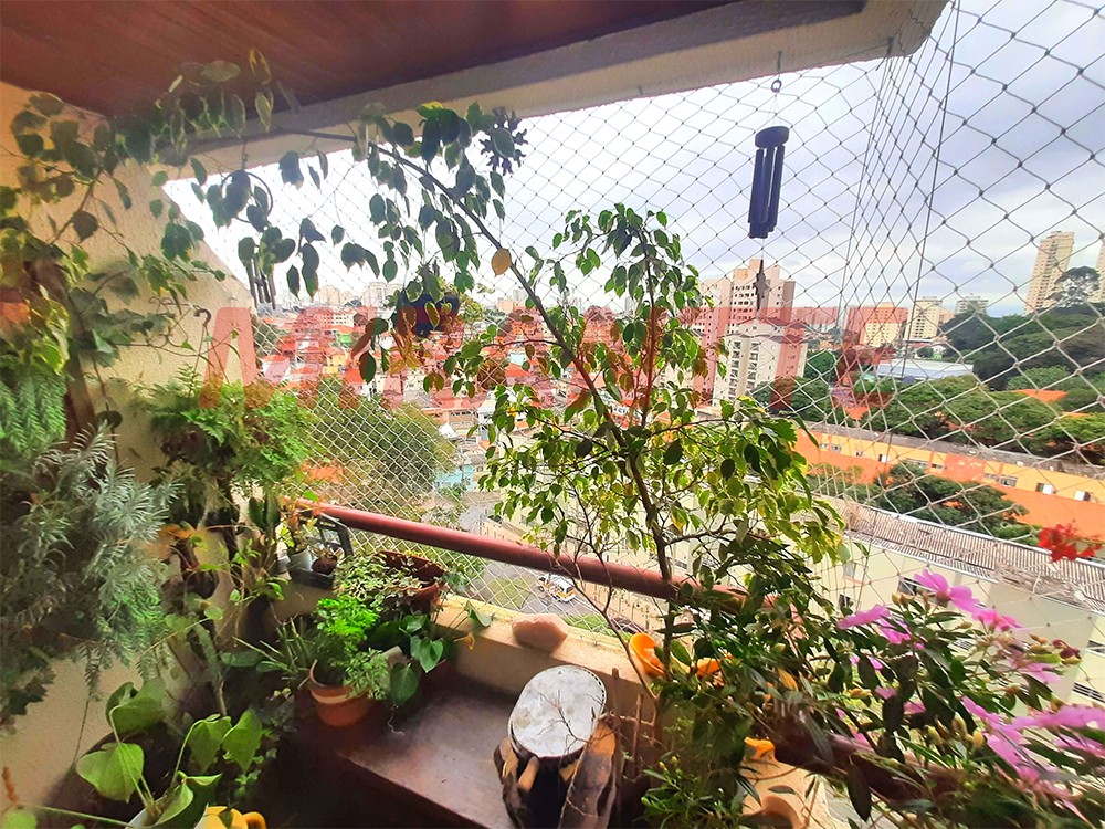 Apartamento de 65m² com 3 quartos em Mandaqui