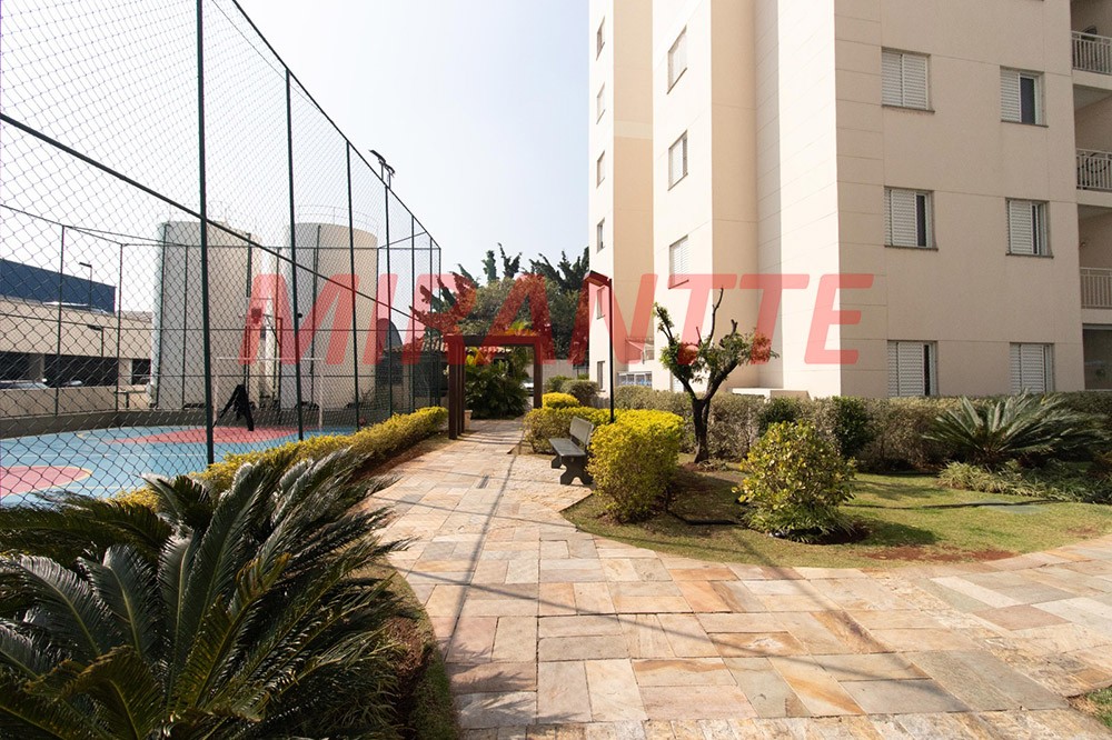 Apartamento de 62m² com 2 quartos em Vila Guilherme
