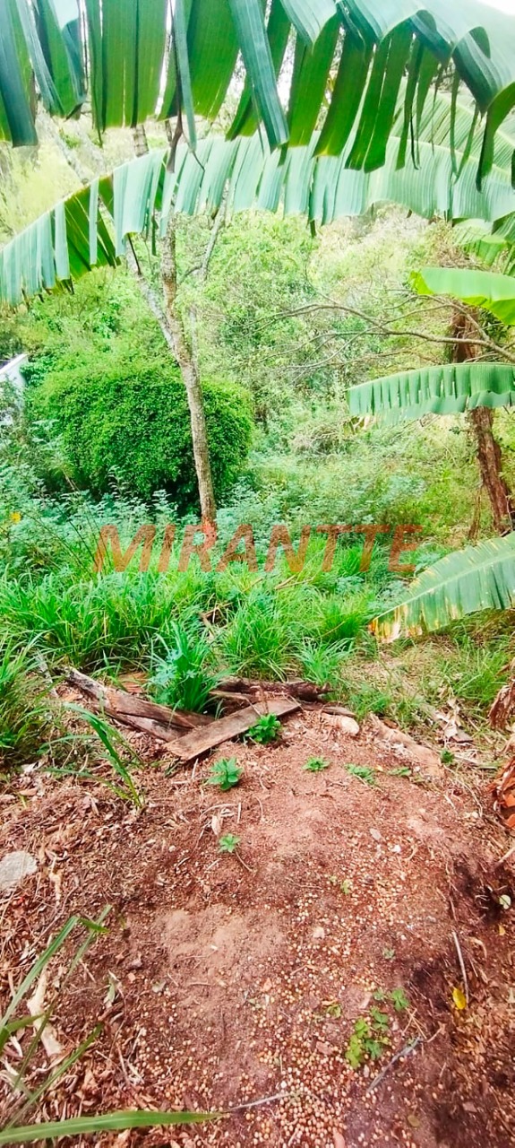 Terreno de 698m² em Jardim Ibiratiba
