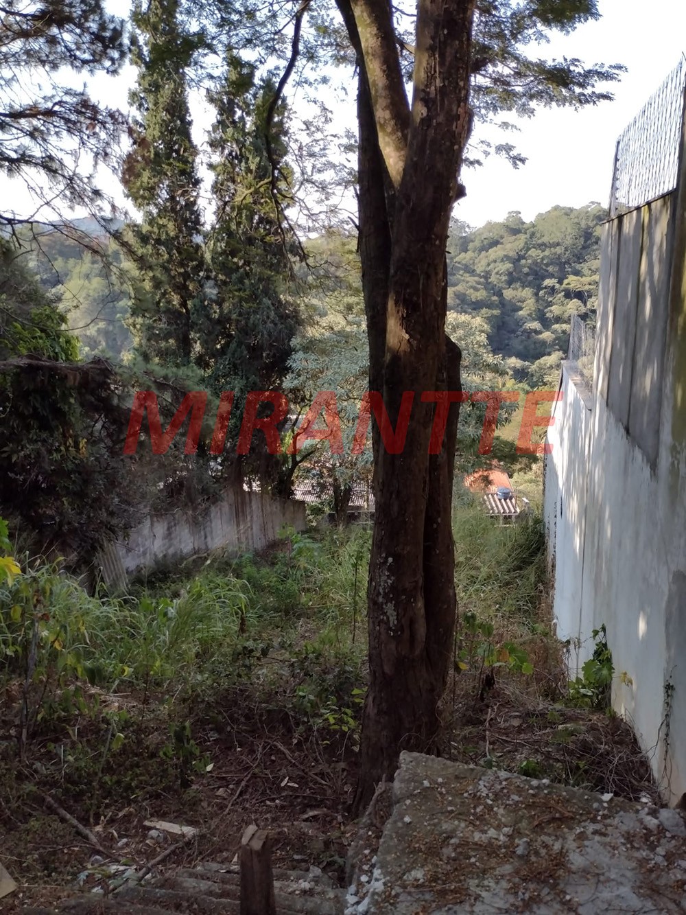 Terreno de 600m² em Tucuruvi