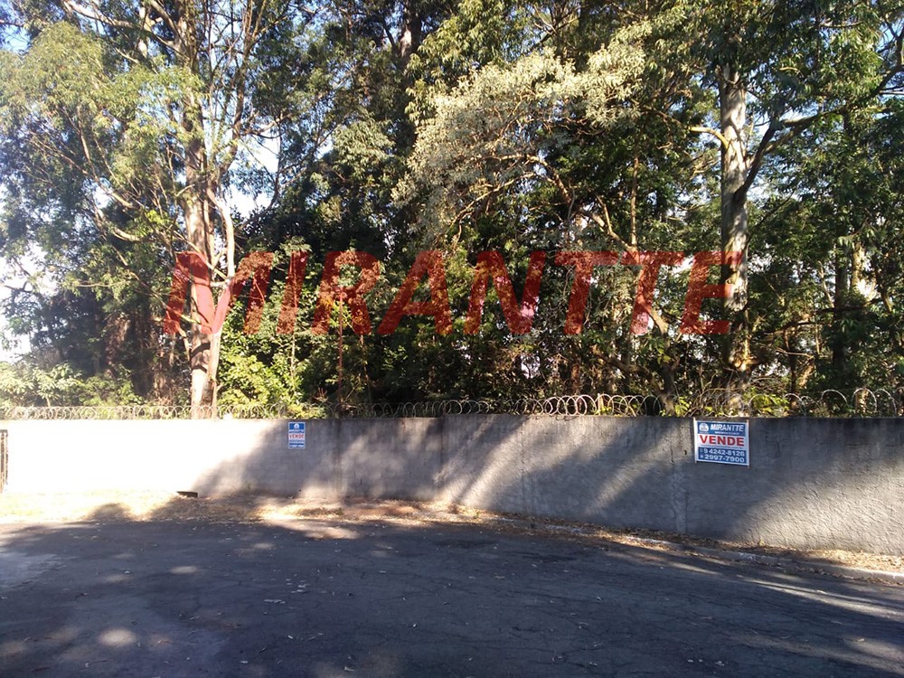 Terreno de 352m² em Jardim Ibiratiba
