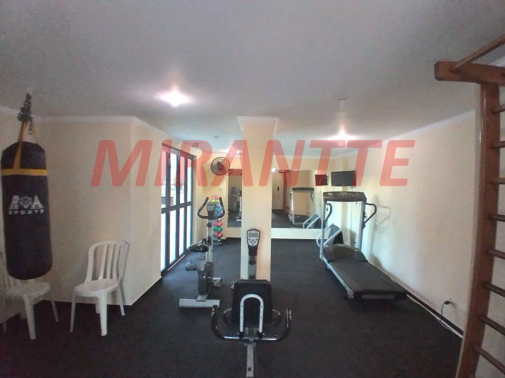 Apartamento com 3 quartos em Vila Milton