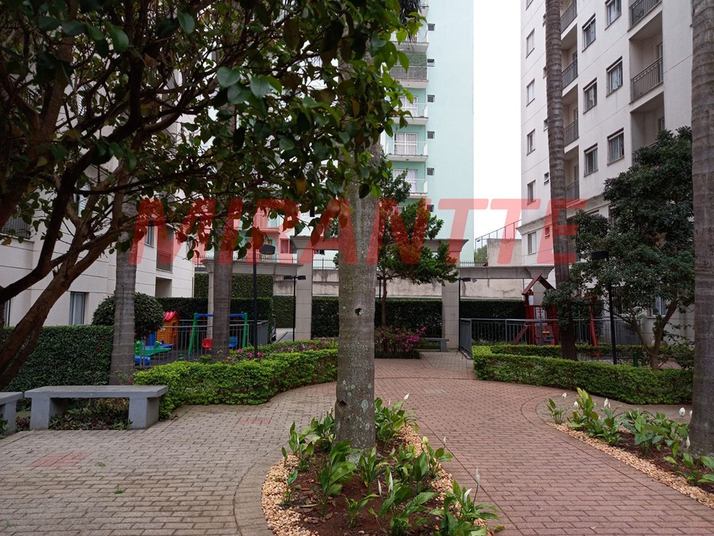 Apartamento com 2 quartos em Lauzane Paulista