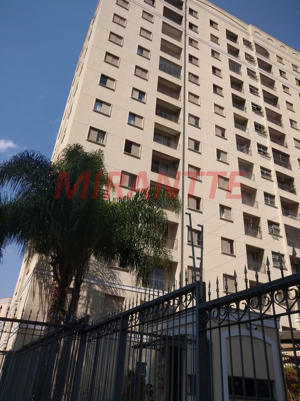 Apartamento com 3 quartos em Lauzane Paulista