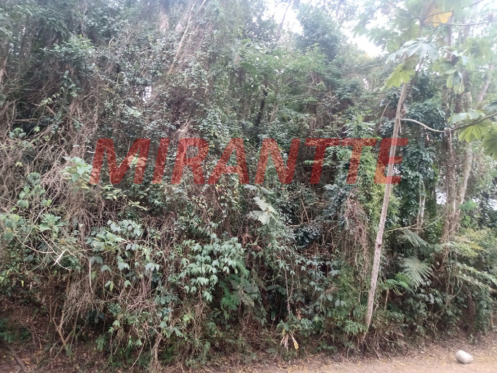 Terreno de 1220m² em Serra Da Cantareira